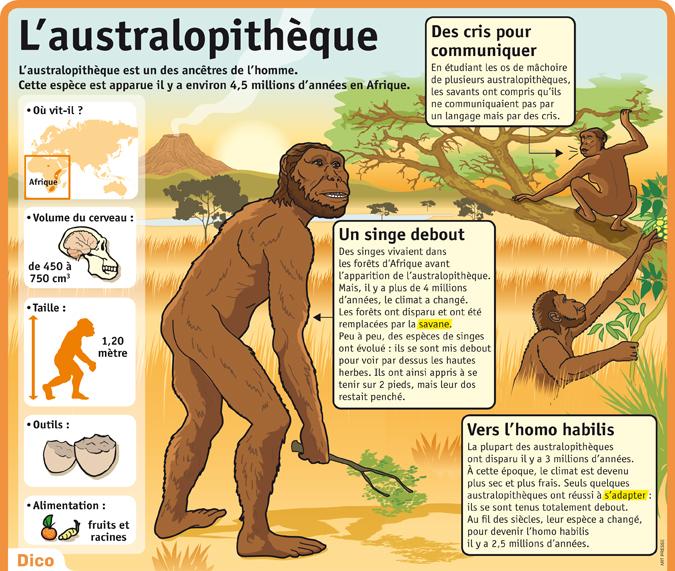 Australopithèque