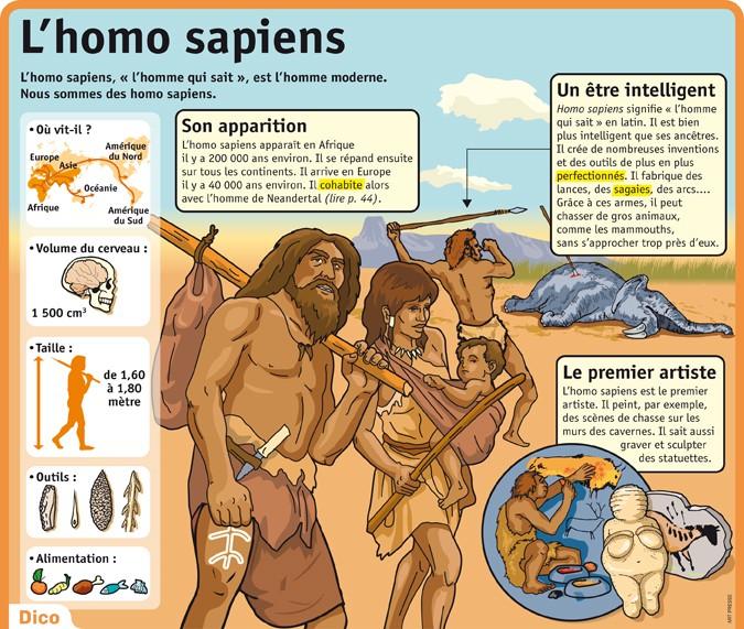 Homo sapiens