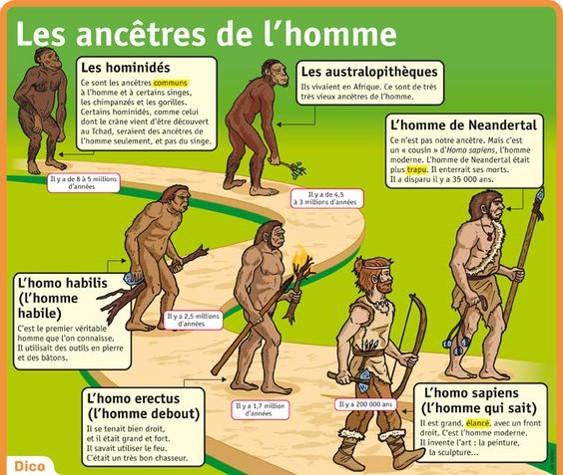 Les ancetres de l homme