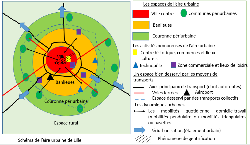 Schema final